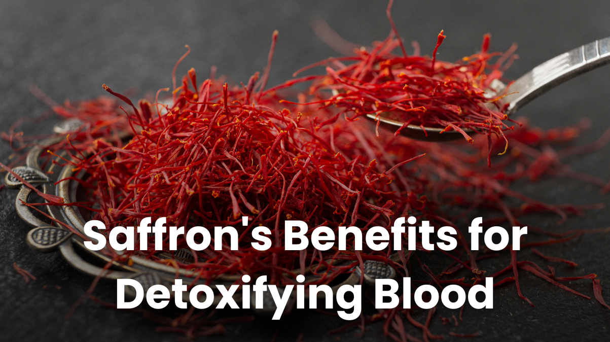 Exploring Saffron's Benefits for Detoxifying Your Blood