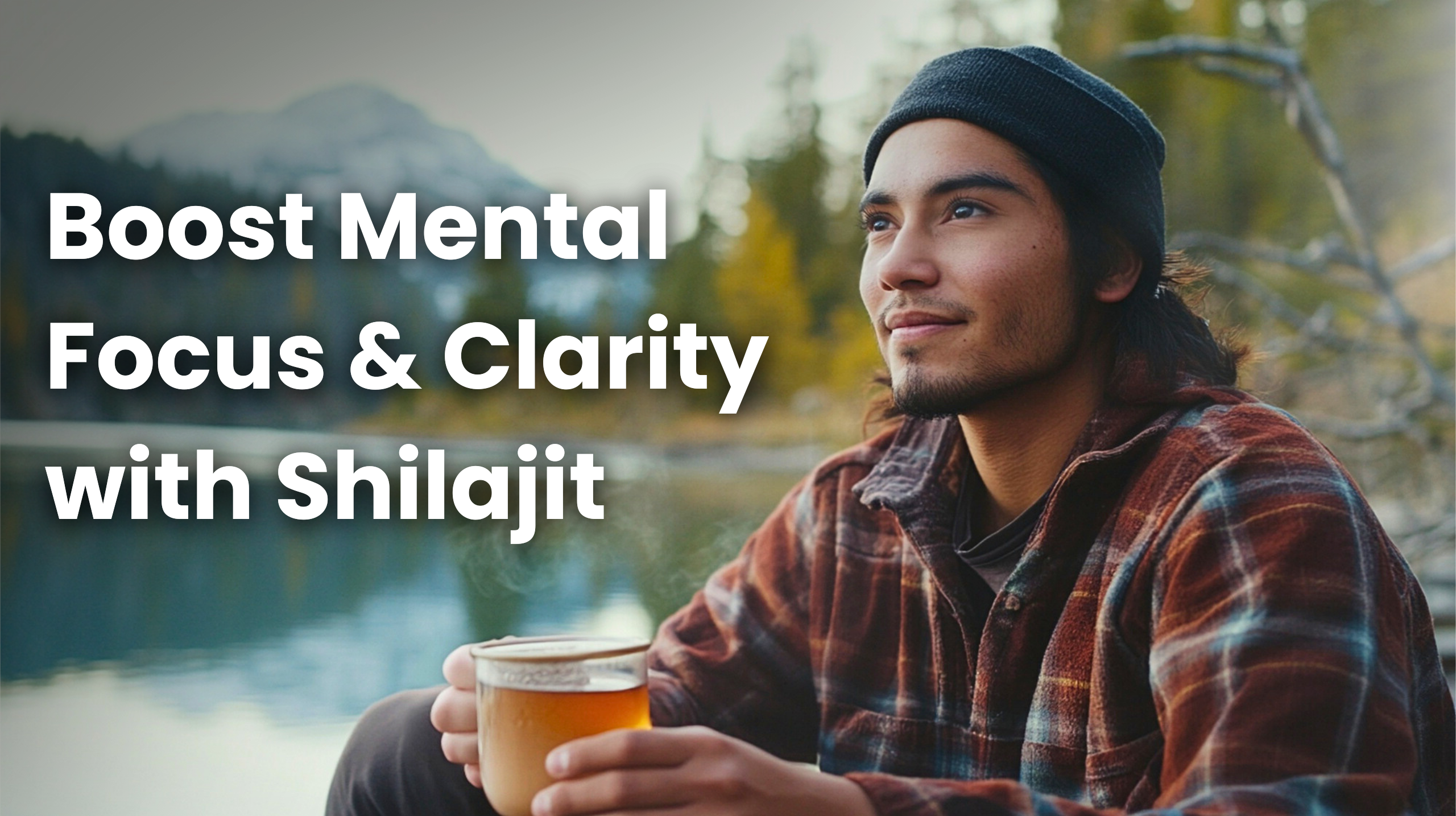 Pure Shilajit Resin