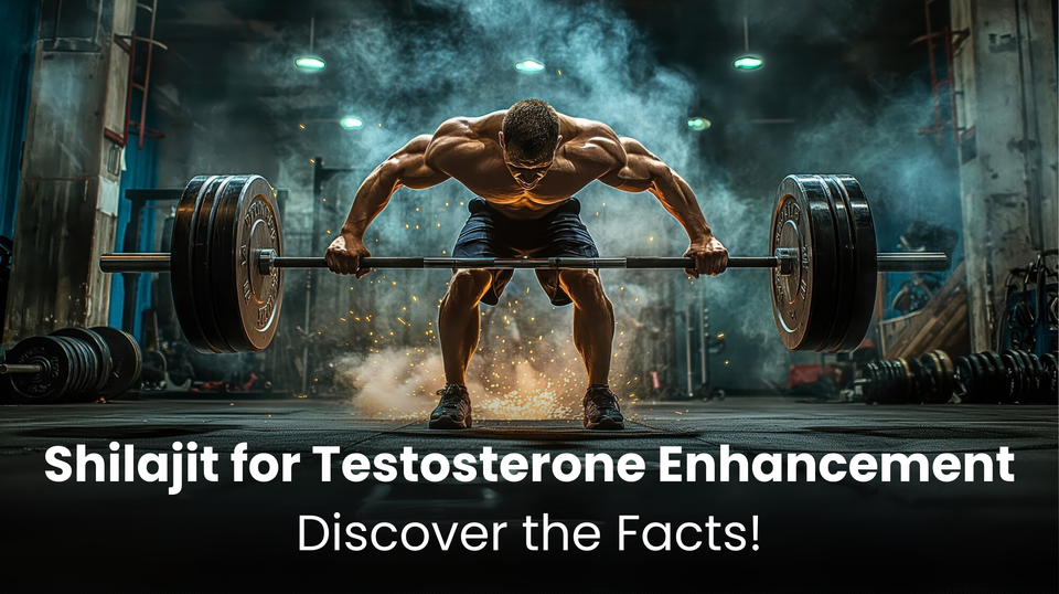 Shilajit for Testosterone